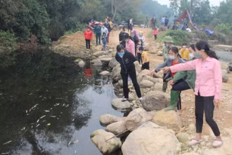 Trang trại của ông Thân Văn Hùng ở xóm Đồng Phú, xã Cát Nê, huyện Đại Từ xả thải ra suối làm cá chết hàng loạt.