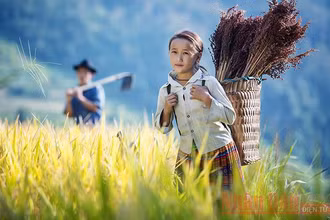 Một bé gái ở Hà Giang (Ảnh: Nguyễn Minh Đức).