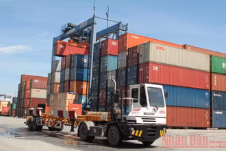 Bốc dỡ hàng hóa tại cảng Cát Lái.