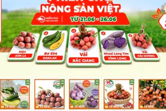 Sở Công thương Hà Nội vừa công bố danh sách các doanh nghiệp, điểm bán hàng hóa thiết yếu trên địa bàn theo hình thức bán hàng trực tuyến. (Ảnh minh họa)