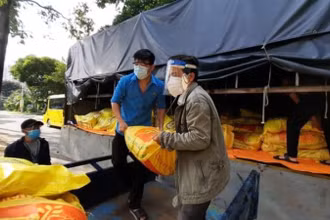 Bộ NN-PTNT phối hợp hỗ trợ lương thực, thực phẩm cho lao động gặp khó khăn. (Ảnh: Tổ công tác 970 cung cấp)
