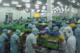 Hàng nghìn doanh nghiệp ở đồng bằng sống Cửu Long “đuối sức” phải ngừng hoạt động vì dịch bệnh.