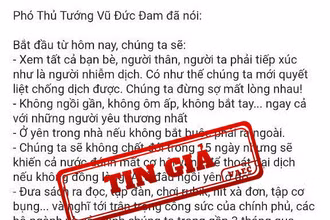 Nội dung thông tin giả mạo phát ngôn của Phó Thủ tướng Vũ Đức Đam phát hiện ngày 6/8. (Nguồn: VAFC). 
