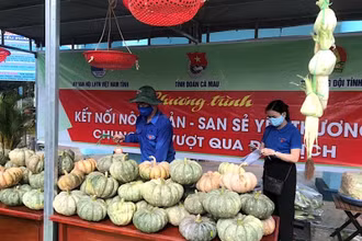 Giang hàng “giải cứu” nông sản tại Tỉnh đoàn Cà Mau bán sạchhàng trong ngày 10/8.