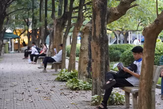 Học sinh, sinh viên đọc sách, ôn bài trong khuôn viên Trường đại học Khoa học Tự nhiên (Hà Nội). Ảnh: HUS