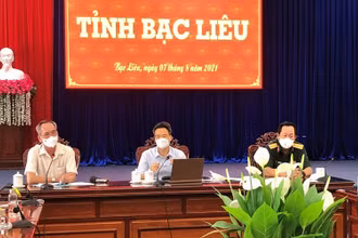 Phó Thủ tướng Vũ Đức Đam phát biểu tại buổi làm việc. 