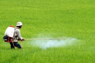 Một nền nông nghiệp sạch thì phải làm sáng tỏ trong khâu sử dụng phân bón và thuốc bảo vệ thực vật.