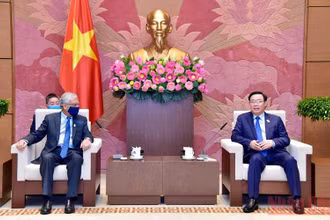 Chủ tịch Quốc hội Vương Đình Huệ tiếp Điều phối viên thường trú Liên hợp quốc tại Việt Nam Kamal Malhotra. (Ảnh: Duy Linh)
