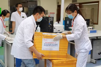 1.000 đơn vị máu được vận chuyển tới Cần Thơ hôm nay, chi viện cho Tây Nam bộ.