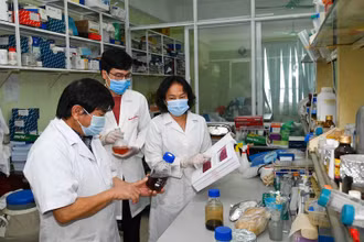 Các nhà khoa học của Viện Công nghệ sinh học đã nghiên cứu thành công giai đoạn tiền lâm sàng thuốc thử nghiệm VIPDERVIR