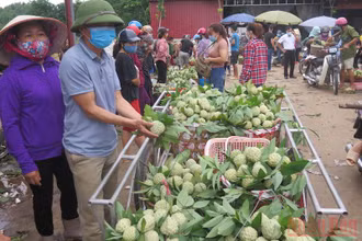 Người dân các xã trong huyện Chi Lăng bán na tại chợ nông sản Chi Lăng