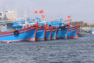 Ảnh minh họa. (Nguồn: TTXVN)