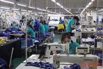 Công nhân Công ty TNHH BoHsing Vĩnh Long trong giờ sản xuất. (Ảnh: Bá Dũng). 