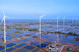 Toàn cảnh 9 turbine của Nhà máy điện gió Kosy Bạc Liêu giai đoạn 1.