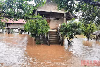 Nhiều nhà dân ở huyện Lắk bị nước lũ cô lập.