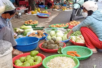 Tại các chợ truyền thống ở Thái Bình,mặt hàng rau, củ, quả hiện khá đắt đỏ.