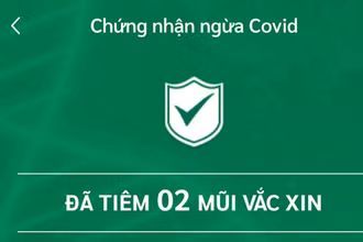 Ảnh minh họa.