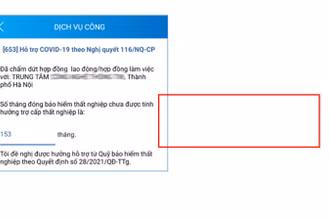 Trên VssID, lao động có thể kiểm tra thời gian tham gia bảo hiểm thất nghiệp chưa được tính hưởng trợ cấp thất nghiệp (số tháng).