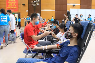 Các tình nguyện viên hiến máu tại chương trình “Chong chóng hồng”. 