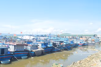Cảng neo trú tàu, thuyền Mỹ Á, xã Phổ Quang, thị xã Đức Phổ, tỉnh Quảng Ngãi.