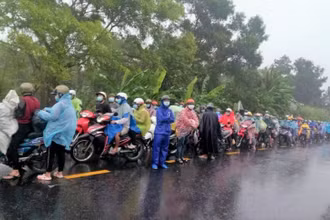 Liên tiếp mấy ngày nay đã có hơn 12.000 người dân Bạc Liêu ở TP Hồ Chí Minh và các tỉnh tự phát “ùn ùn” trở về quê.