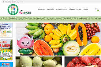Giao diện trang thông tin đăng ký kết nối cung cầu nông sản.