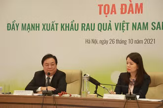  Bộ trưởng Nông nghiệp và Phát triển nông thôn Lê Minh Hoan phát biểu tại tọa đàm. (Ảnh: Bộ Ngoại giao).