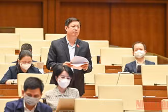 Đại biểu Quốc hội Dương Văn Thăng (TP Hồ Chí Minh) phát biểu tại phiên thảo luận trực tuyến về dự án Luật Cảnh sát cơ động. (Ảnh: LINH NGUYÊN)