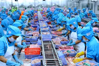 9 tháng đầu năm 2021, kim ngạch xuất khẩu thủy sản đạt xấp xỉ 6,2 tỷ USD, tăng hơn 2,9% so với cùng kỳ năm trước.