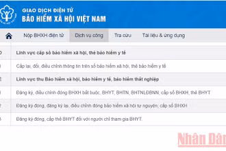 Người lao động có thể tra thông tin trên Cổng Dịch vụ công Bảo hiểm xã hội Việt Nam.