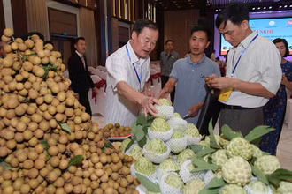 Gian hàng trưng bày quảng bá mặt hàng nông sản của Hợp tác xã Bảo Minh.