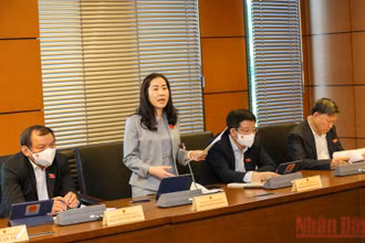 Đại biểu Quốc hội Đoàn Thị Thanh Mai (Hưng Yên) phát biểu tại phiên thảo luận tổ sáng 23/10. 