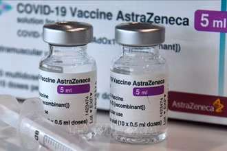 Cho đến nay, Italy đã bàn giao tổng cộng hơn 2,8 triệu liều vaccine nhằm hỗ trợ chiến dịch tiêm chủng của Việt Nam. (Ảnh: TTXVN)