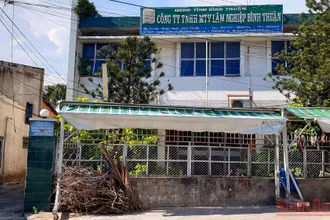 Trụ sở Công ty TNHH MTV Lâm nghiệp Bình Thuận tại TP Phan Thiết (Bình Thuận). (Ảnh: ĐÌNH CHÂU)