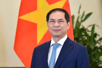 Bộ trưởng Ngoại giao Bùi Thanh Sơn. (Ảnh: Bộ Ngoại giao)