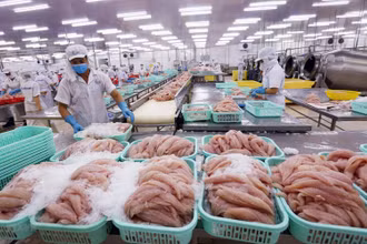 Xuất khẩu thuỷ sản đang gặp khó.