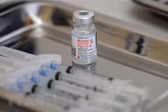 Vaccine ngừa Covid-19 của Moderna. (Ảnh: AFP/TTXVN)