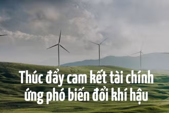 Thúc đẩy cam kết tài chính ứng phó biến đổi khí hậu