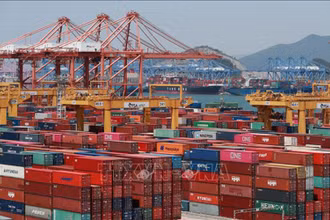 Container hàng hóa tại cảng Busan. (Ảnh: YONHAP/TTXVN)