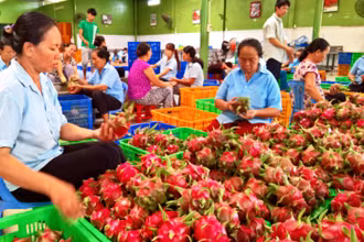Giữ vững đà tăng trưởng nông nghiệp