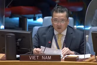 Đại sứ Phạm Hải Anh, Phó Trưởng Phái đoàn thường trực Việt Nam tại Liên hợp quốc phát biểu tại phiên họp. Ảnh: TTXVN