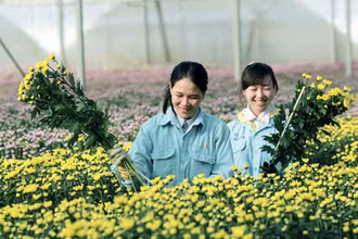Du lịch canh nông phát triển mạnh ở tỉnh Lâm Đồng.