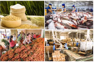 Chín tháng đầu năm 2021, kim ngạch xuất khẩu nông lâm thủy sản ước đạt 35,5 tỷ USD, tăng 17,7% so cùng kỳ năm ngoái.