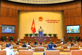 Quốc hội thảo luận trực tuyến về dự án Luật sửa đổi, bổ sung một số điều của Luật Sở hữu trí tuệ, chiều 26/10. (Ảnh: LINH NGUYÊN)