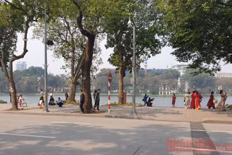 (Ảnh minh họa: T.LINH)