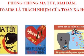 Ảnh minh họa.