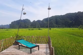 Những cánh đồng lúa ở Tam Cốc chuẩn bị vào độ đẹp nhất. Năm nay do dịch Covid-19, "Sắc vàng Tam Cốc - Tràng An" lại lỡ hẹn với du khách (Ảnh: H.B)