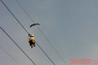 Nhân viên Truyền tải điện Đông Bắc 3 vất vả tháo gỡ những chiếc diều mắc vào đường dây