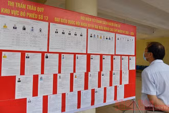 Thông tin của các ứng viên tại khu vực bỏ phiếu số 13 (Thị trấn Trâu Quỳ, huyện Gia Lâm, Hà Nội) (Ảnh minh họa: Duy Linh).