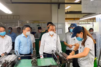 Phó Thủ tướng Trương Hòa Bình thị sát tại một bộ phận sản xuất của Công ty TNHH Organ Việt Nam, KCX Tân Thuận, quận 7.